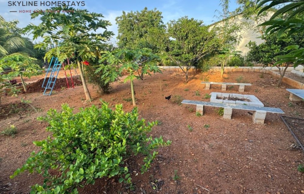 Skyline Homestays Slider Pictures